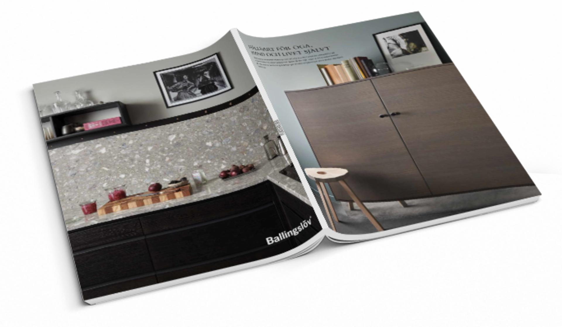 Bærekraftig så inn i Norden mockup